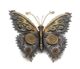 Steampunk Butterfly 3D Metal Model Kit